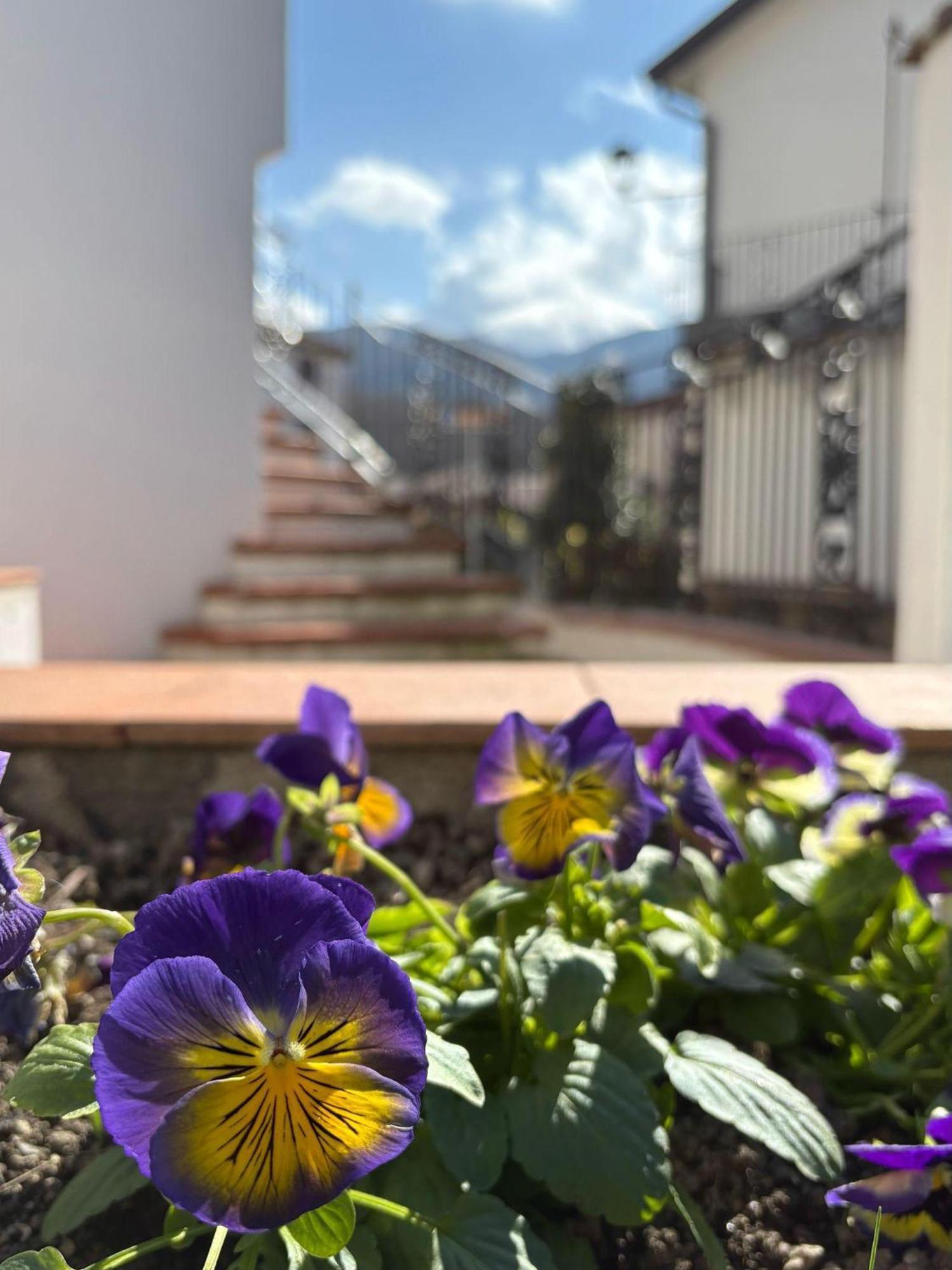 Albori Apartment San Severino Lucano Exterior foto